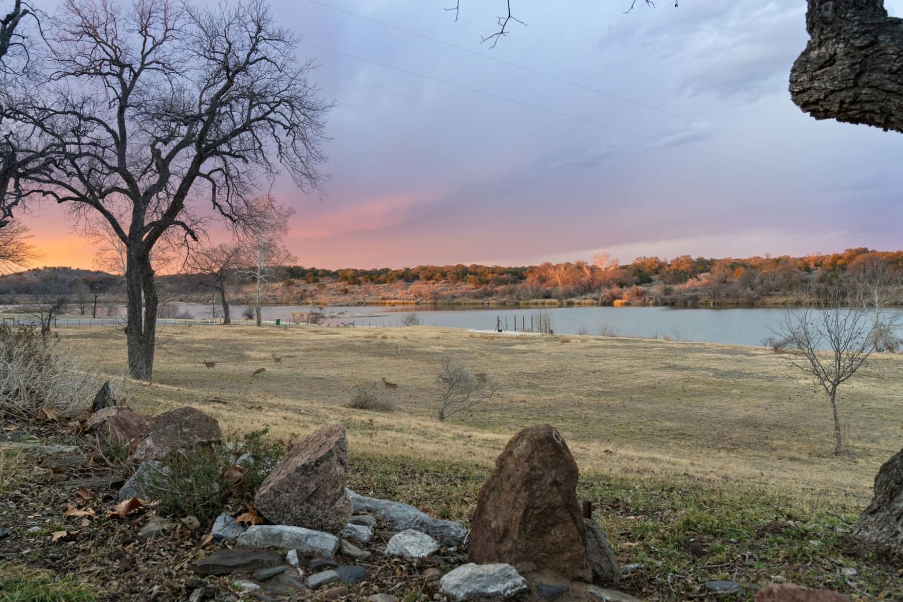 Deer grazing near the water at dusk